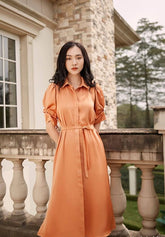Silk Shirt Dress with Puff Sleeves and Waist Tie Detail